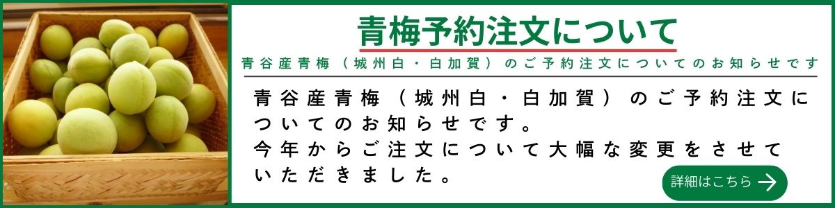 2026年青梅説明バナー01
