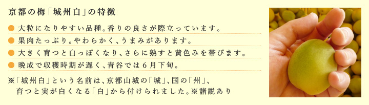 城州白の特徴